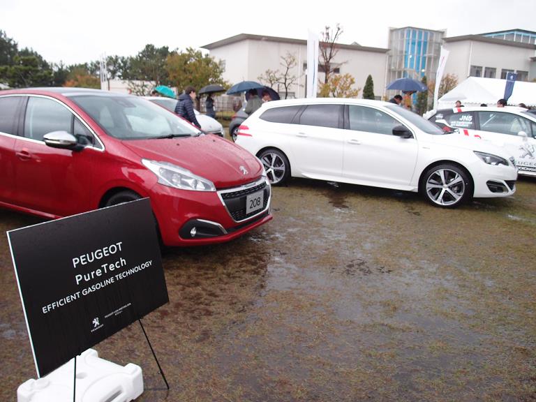 Peugeot Meeting16-15.JPG